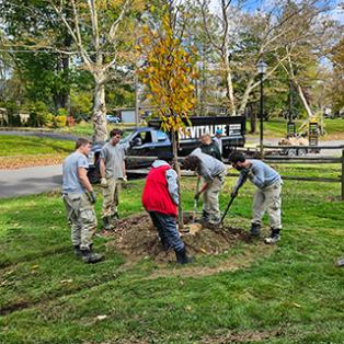 Home | Youngstown Neighborhood Development Corporation